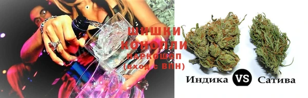 ешки Алексин