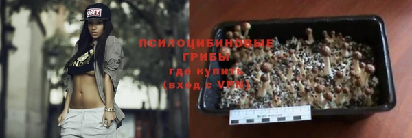 ешки Алексин